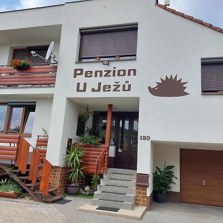 Penzion U Jezu - Ubytovani باسوهلافكي المظهر الخارجي الصورة